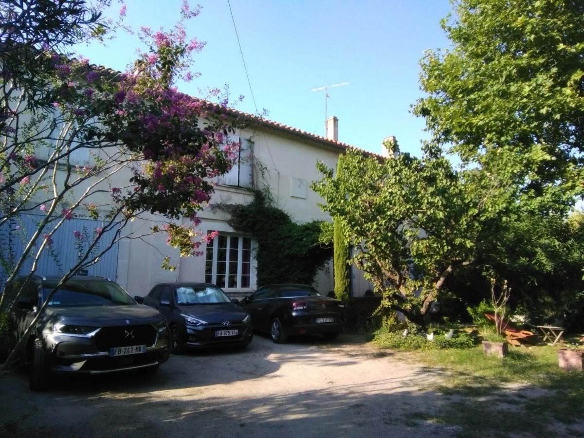 Le Petit Palais Maisonnette Aparthotel Avignon Eksteriør bilde