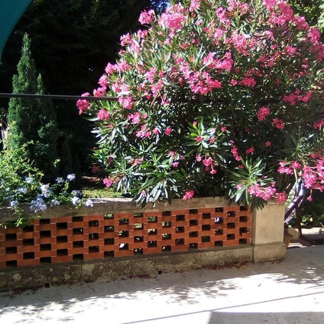Le Petit Palais Maisonnette Aparthotel Avignon Eksteriør bilde